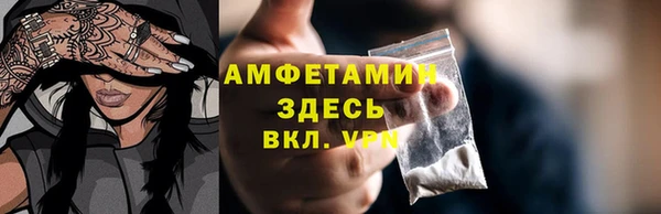 мет Дмитриев