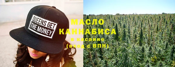 мет Дмитриев