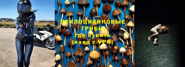 таблы Дмитровск