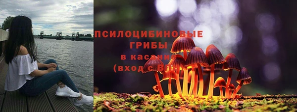 мет Дмитриев