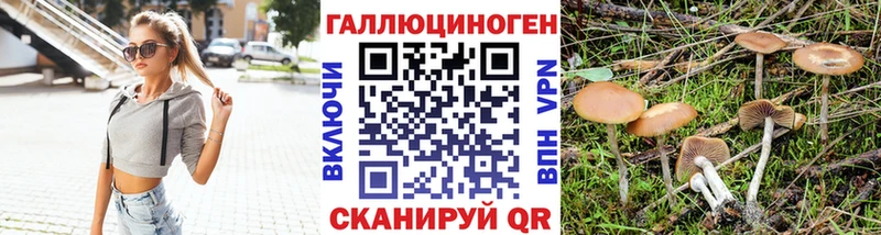 Галлюциногенные грибы мухоморы  Купить закладки  Петров Вал 